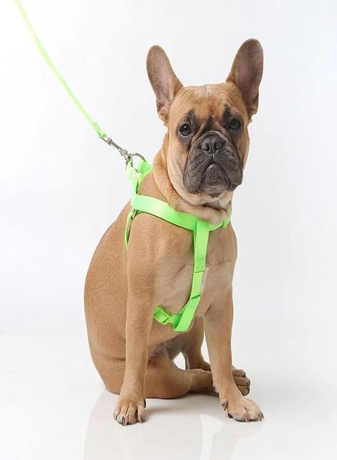 Pups&Pets Durable 15MM Nylon Reflective Leash with 0.5 Inch Adjustable Nylon Harness Set Ideal for Outdoor Walking Small & Medium Dogs - Image 2